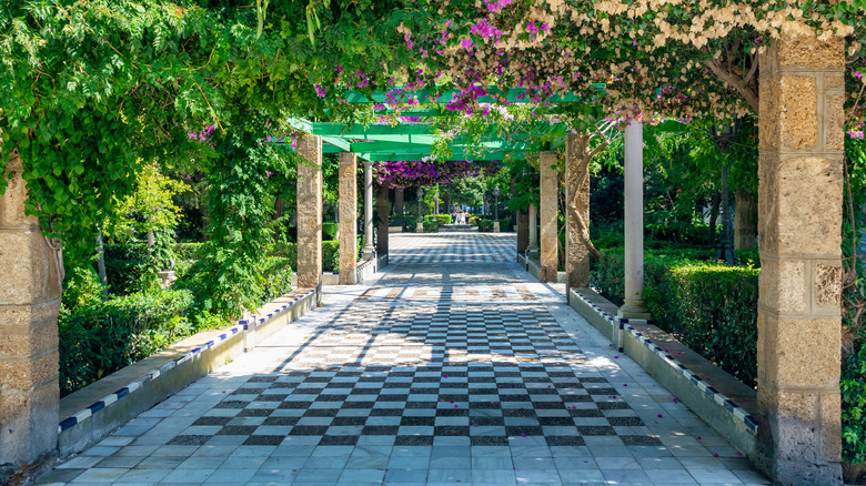 Stone walkway with overhead plants