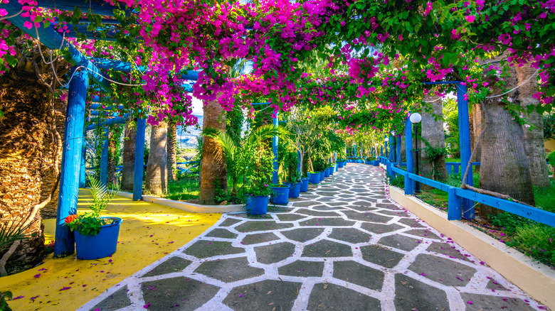 Stone walkway with flowers