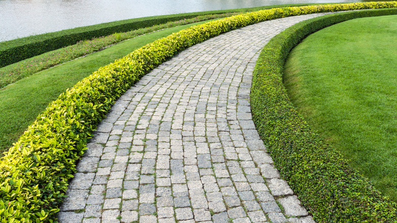 Hedges and a stone walkway