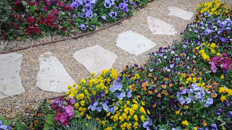 Stone and pebble walkway