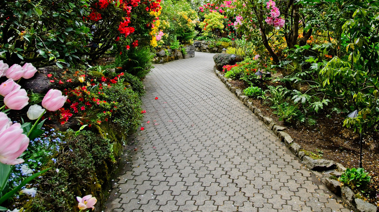 Stone walkway and plants