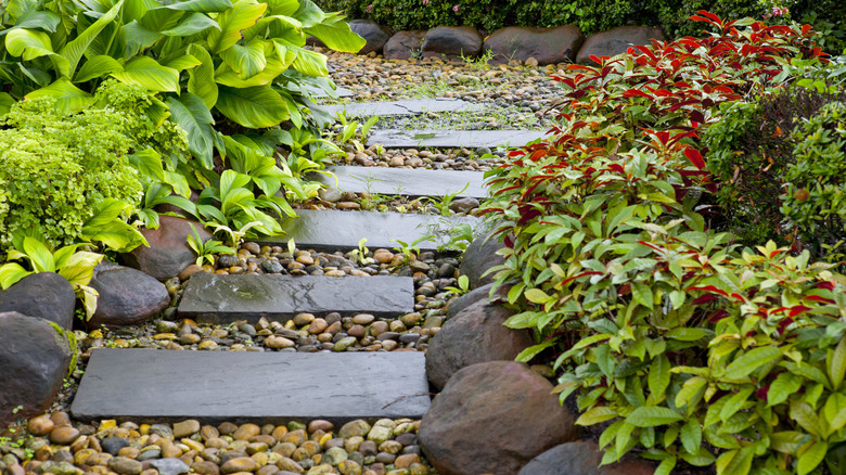 Slate walkway with plants