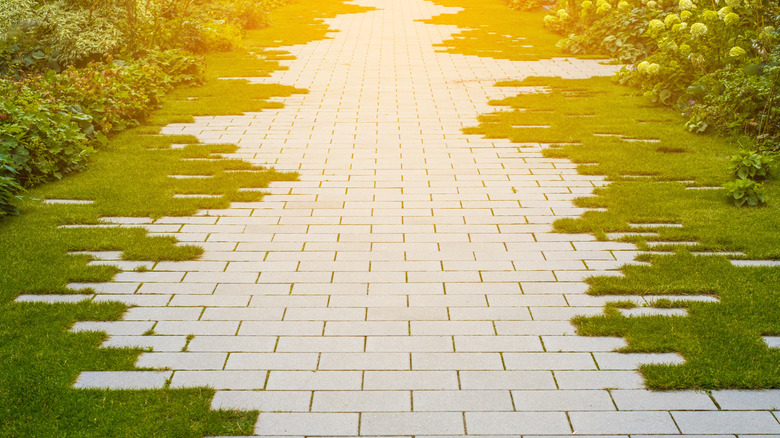 Stone walkway with grass