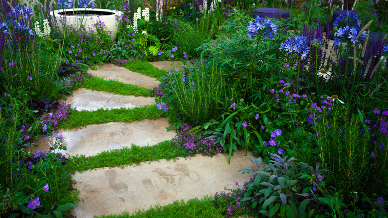 Stone walkway with grass