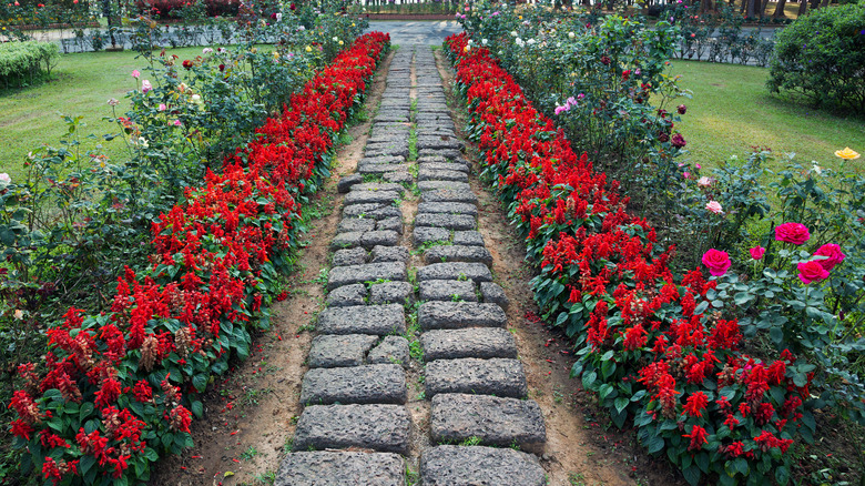 Walkway with thick stones