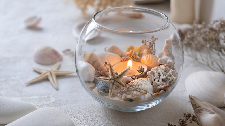 seashell with candle