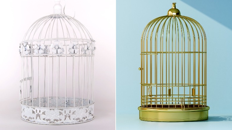 White and brass birdcages