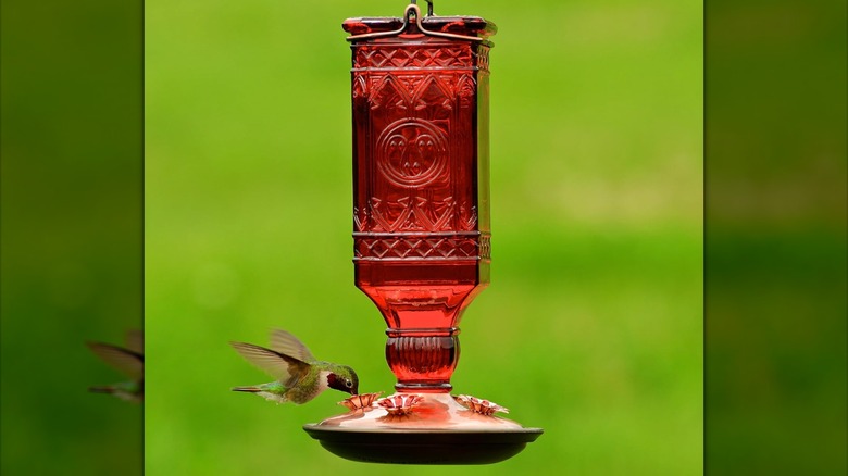 red glass bottle hummingbird feeder