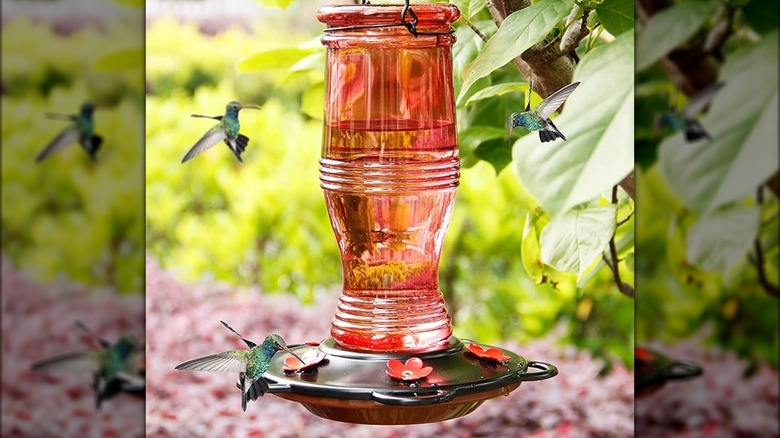 Red glass hummingbird feeder