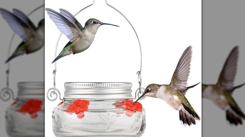 short mason jar hummingbird feeder