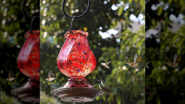 Glass, plastic, and metal feeder