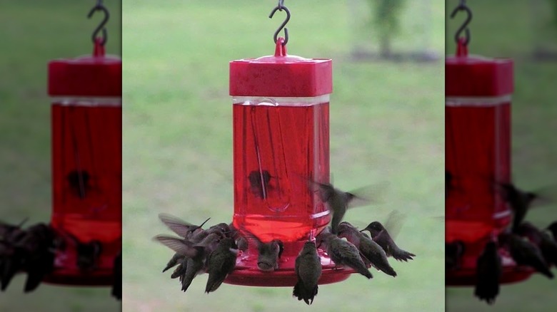 Rectangular red hummingbird feeder