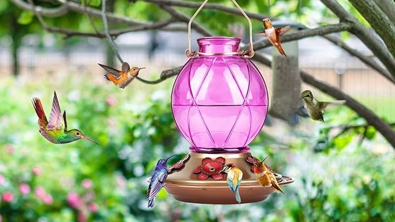 Pink round hummingbird feeder