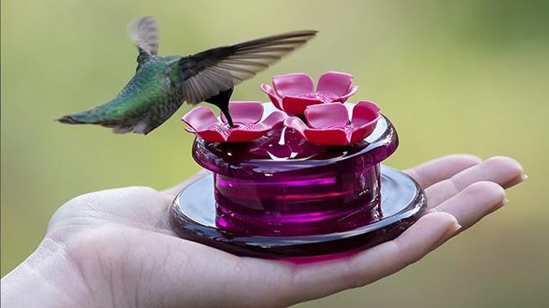 pink hummingbird feeder in hand