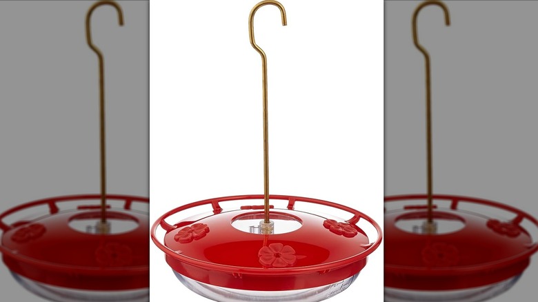 Hummingbird feeder with simple design