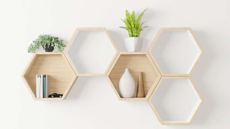 hexagon shaped bookshelf with plants