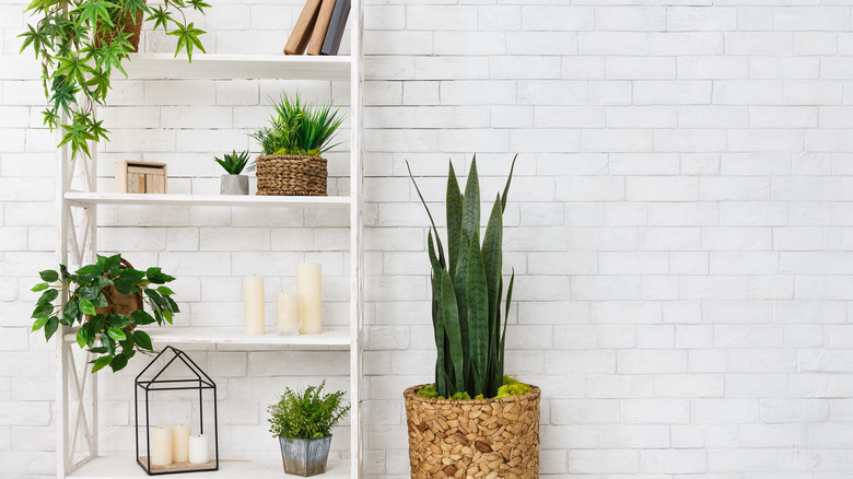 White bookshelf with candles