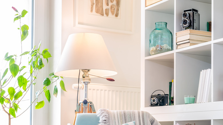 Bookshelf with vintage cameras