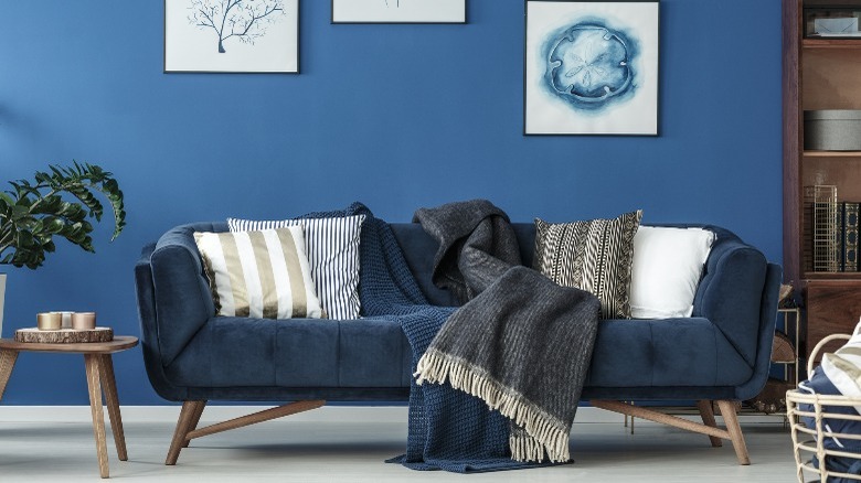 Small modern blue velvet sofa