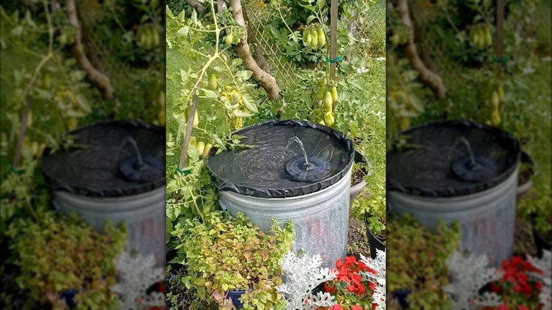 A trash can has been transformed into a water fountain and birdbath.