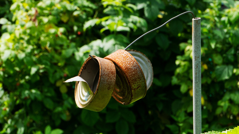 Tin cans hang on a wire to scare away birds in the garden.