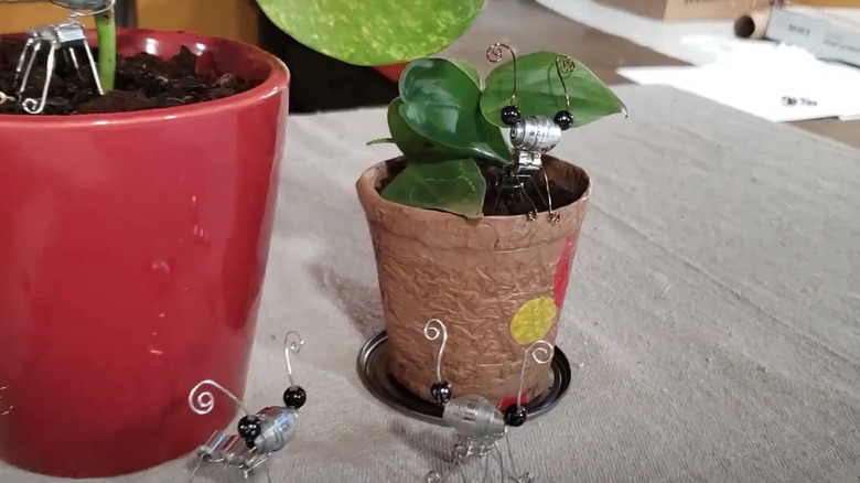 Ant plant charms made from soda cans sit inside a potted plant.