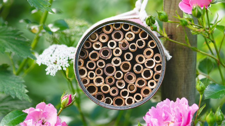 A bug hotel made inside a tin can hangs from a pole in a flower garden.