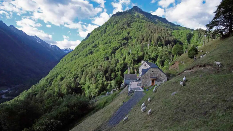 modernized barn on a hill