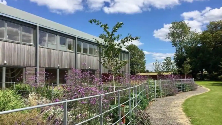 modern barn with purple flowers