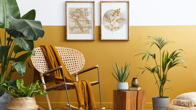 mustard yellow walls with plants