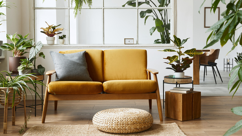 mustard yellow couch with plants