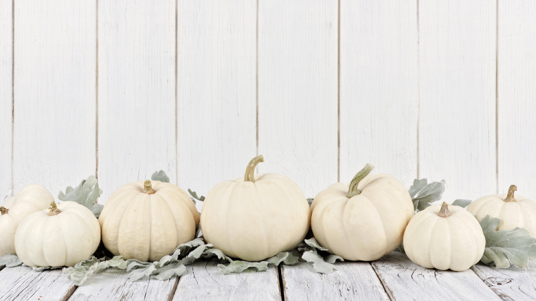 White pumpkins