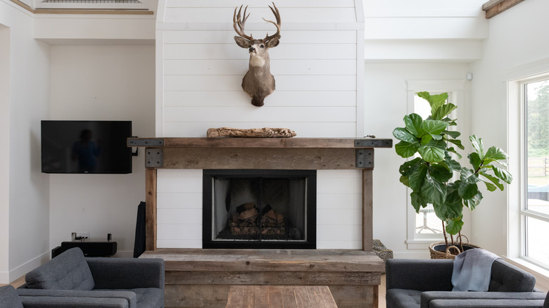 deer head above fireplace