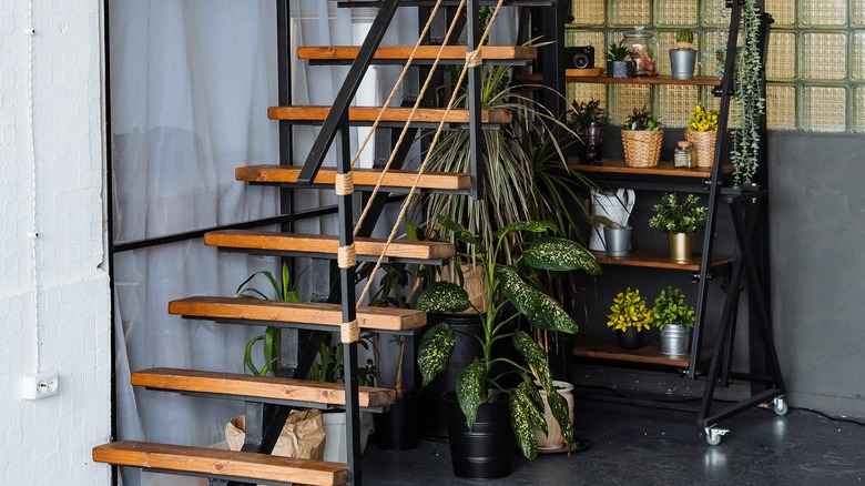 garden under stairs