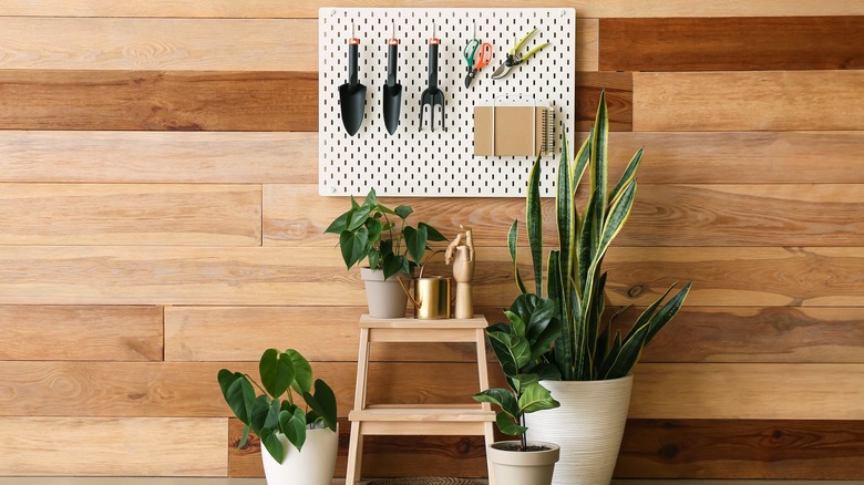 gardening tools on a pegboard