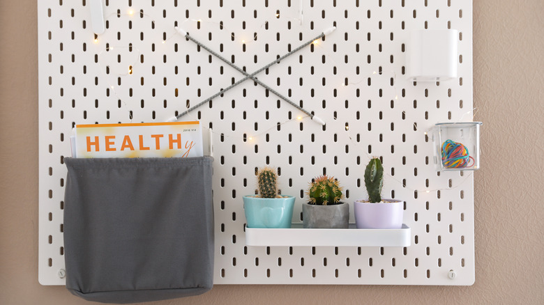 pegboard holding plants and magazines