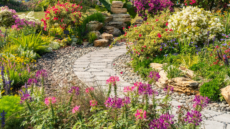 stone path surrounded in pebbles