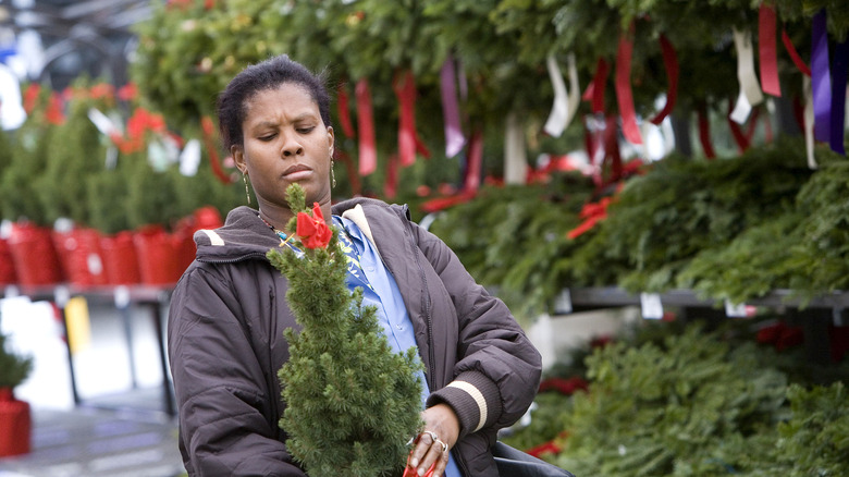 Shopper observes tree in Lowe's