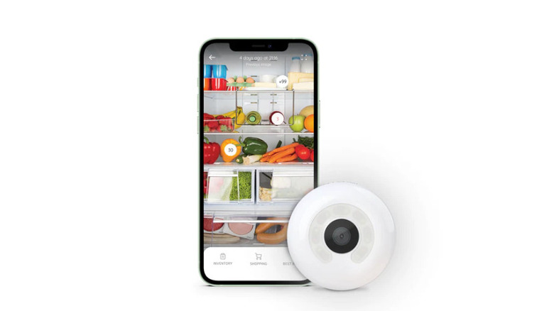 setting up fridge camera