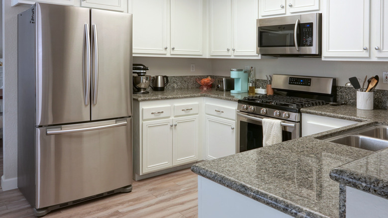 stainless steel refrigerator in classic kitchen