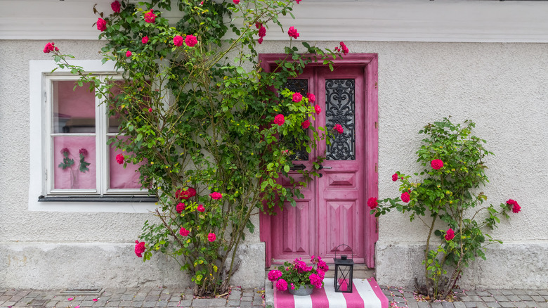 pink door