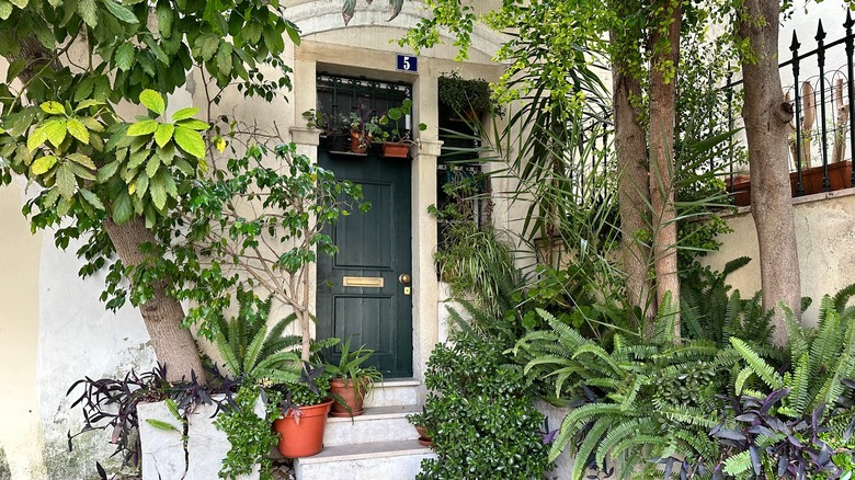 plants around door