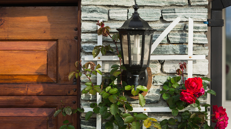 lantern with trellis and roses