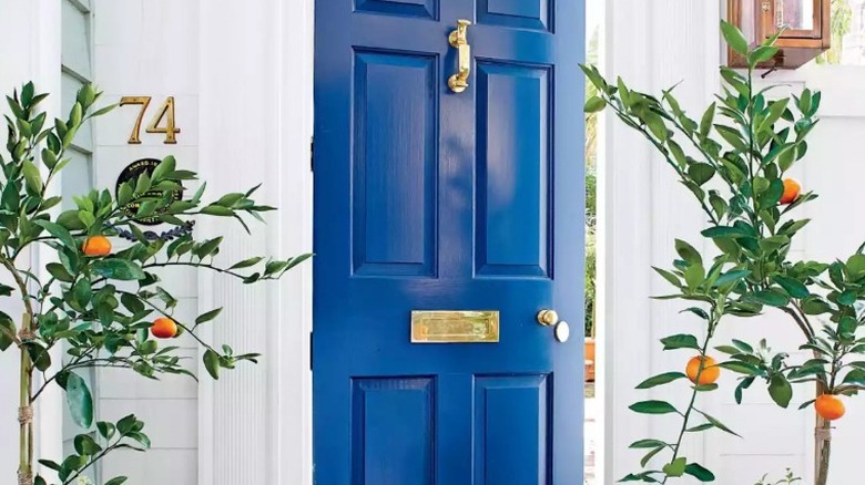 Blue door open 