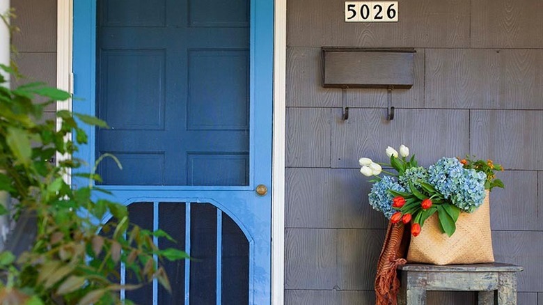 Blue door with screen 