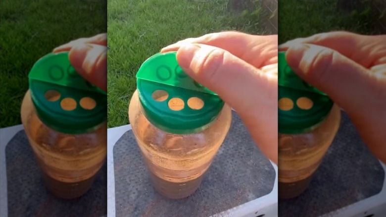 A hand flips open the lid of a parmesan cheese container filled with homemade fertilizer.