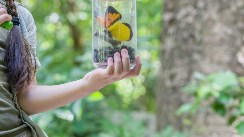 A girl holds a bug catcher with a butterfly inside made from a parmesan cheese container.