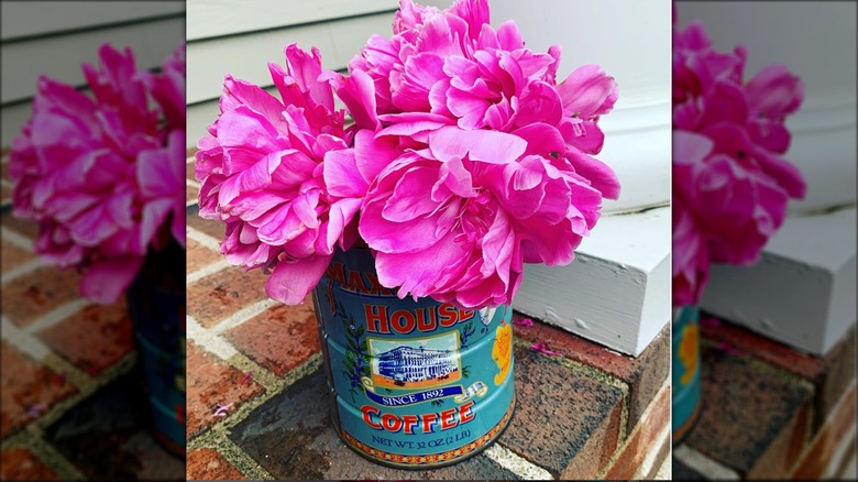 flowers in coffee cans