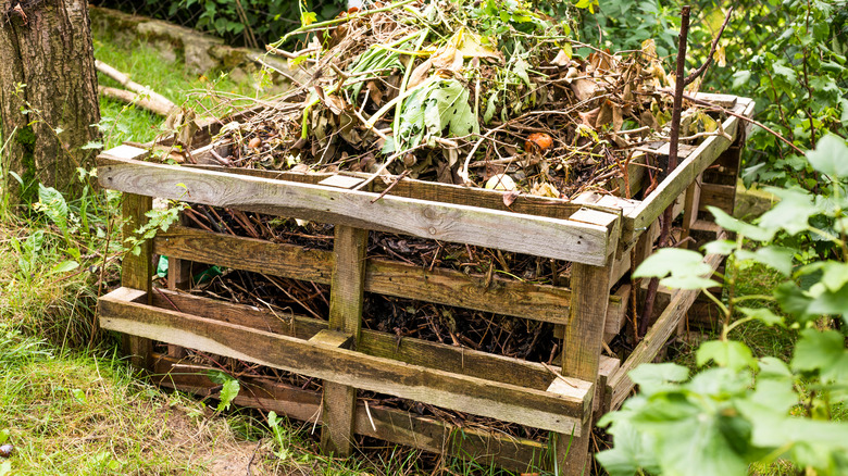 compost inside wood pallet bin