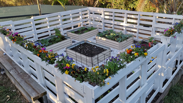 wooden pallets surrounding garden